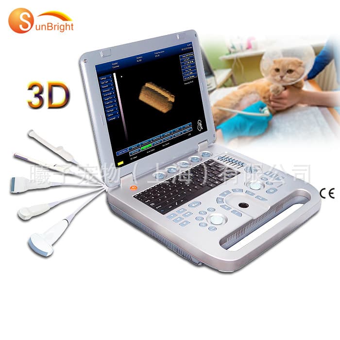 B-Ultrasound Machine, Color Doppler Ultrasound Machine, B-Ultrasound Instrument, Promotional Color Doppler Ultrasound, Portable 4D Color Doppler Ultrasound, Veterinary B-Ultrasound Machine