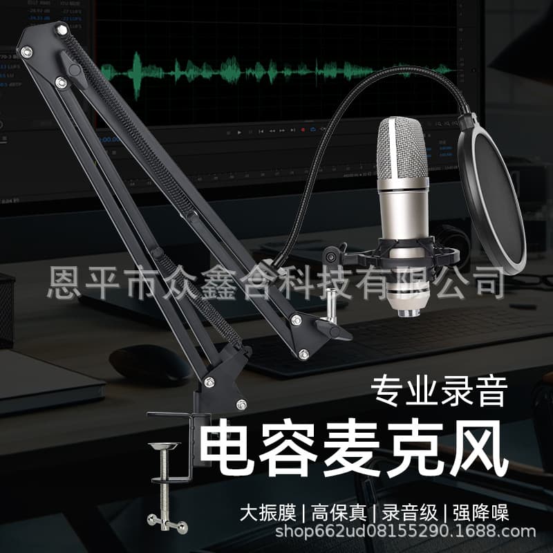 U87 Condenser Microphone Live Streaming Recording Karaoke Gaming 5V/48V Kit Large Diaphragm Mic Cross-Border Hot Seller