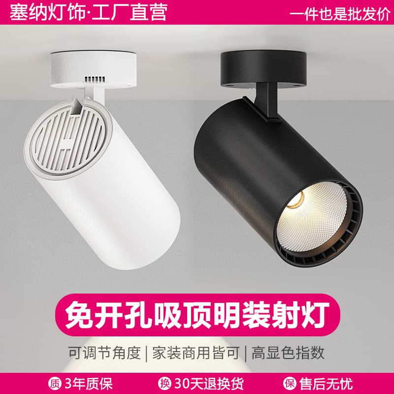 Surface Mounted Adjustable Angle Spotlight, Small Ceiling Track Light, LED Ceiling Downlight for Home Use