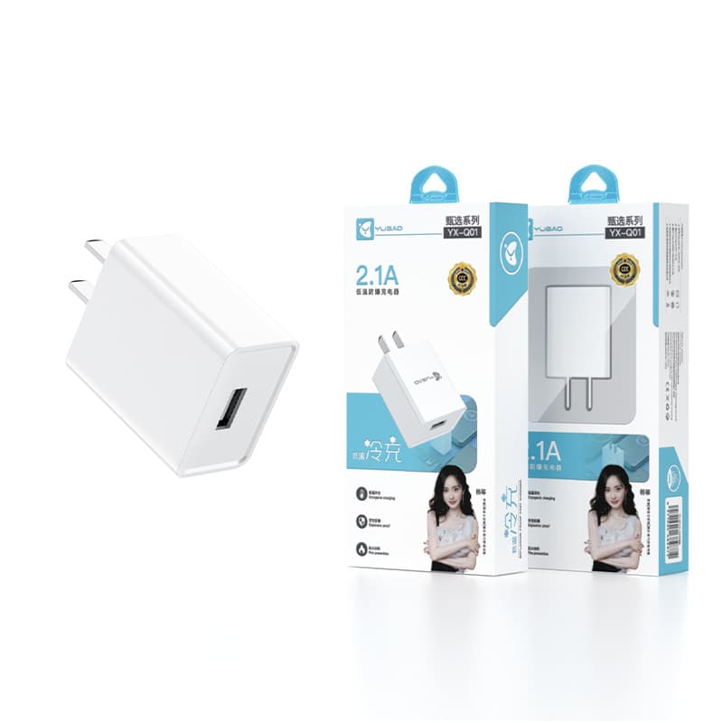 Wholesale 5V 2.1A Power Adapter for Android and Apple Phones USB Charging Kit Explosion-Proof 3CT21