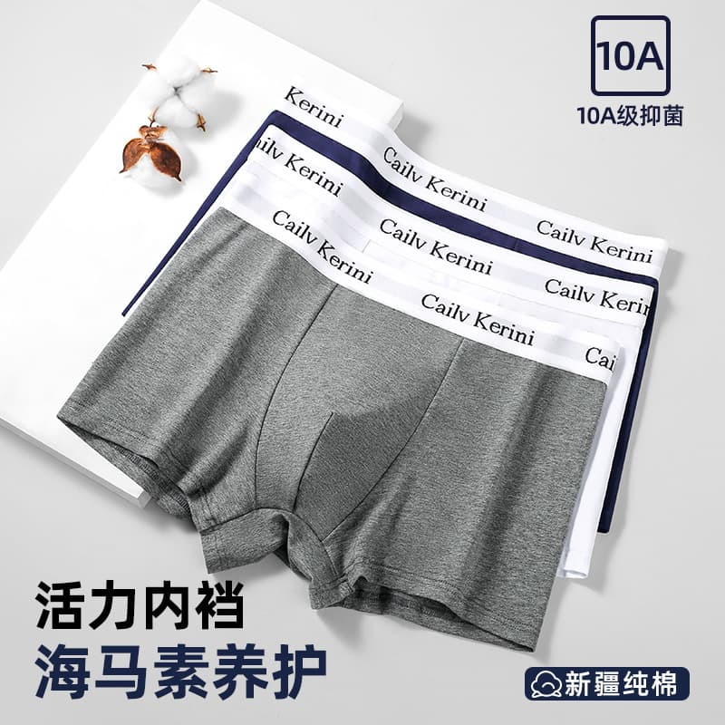 Men's Cotton Elastic Waist Briefs Four Corners Underwear Youth Students Comfortable Breathable Big Size Boxer Shorts