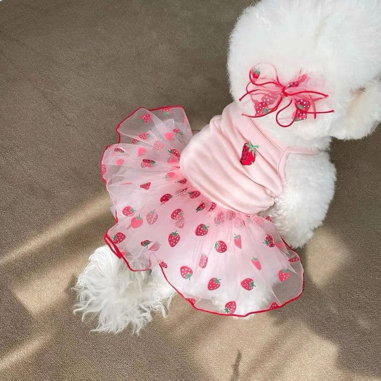 Pet Mesh Dress Summer Thin Style Dress for Poodle Teddy Bichon Yorkie Small Dogs and Cats