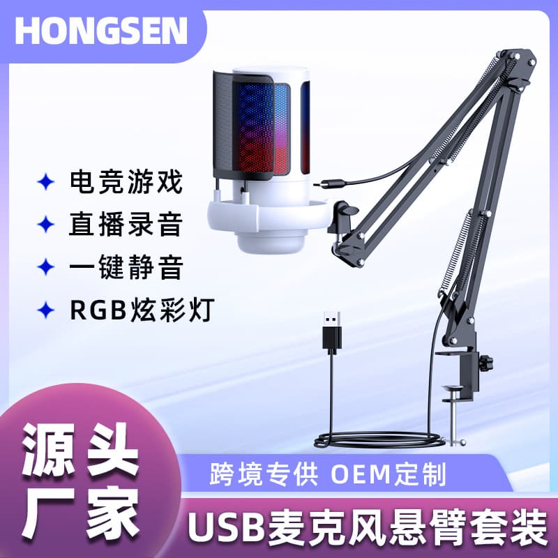 Private Model USB Microphone Noise Reduction for Gaming and Mobile Phone Voice Recording Desktop RGB Professional Condenser Microphone