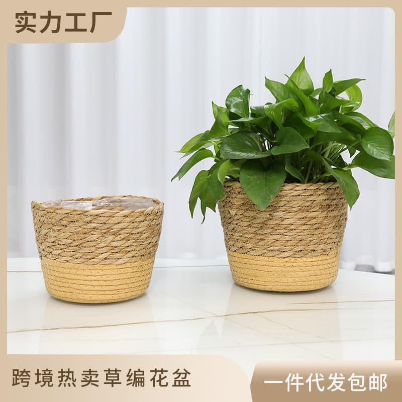 Home Decorative Woven Basket Plant Pots Succulent Container Handcrafted Natural Rattan Flower Basket Creative Storage Basket