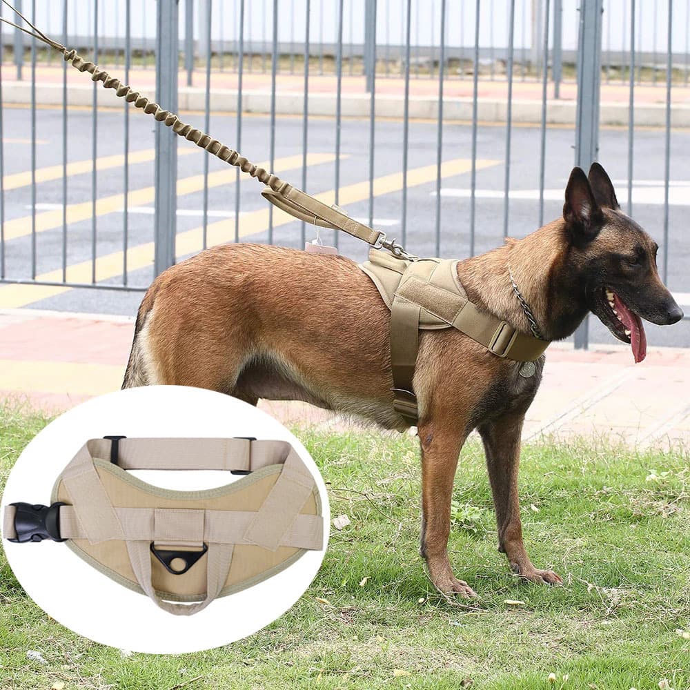 Cross-border Hot Selling - Tactical Dog Vest Nylon Dog Leash Factory Direct Wholesale Labeling - Bulk Orders Contact Customer Service