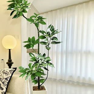 Stylized Peace Tree Potted Plant, Living Room Sofa Side Green Plant, Floor-Standing Large Indoor Potted Plant, Four Seasons Easy-Care