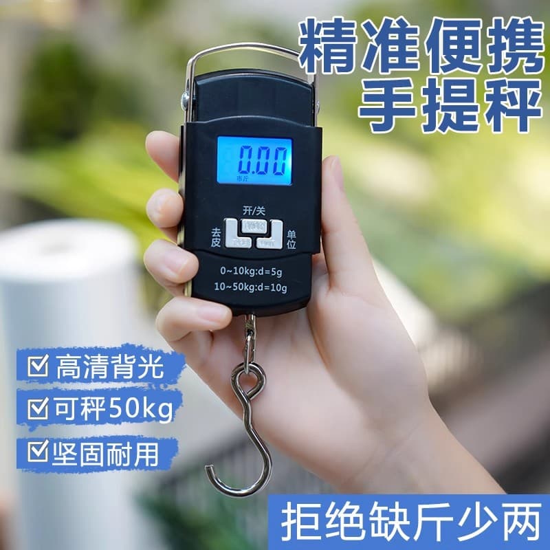 Electronic Hand Scale Portable High Precision Household Weighing Mini Spring Luggage Parcel Kitchen Scale Accurate