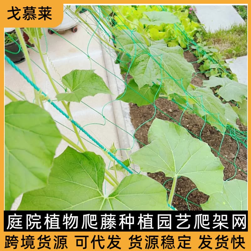 Plant climbing net, bracket net, gardening passion fruit climbing net, chrysanthemum net, thickened climbing net