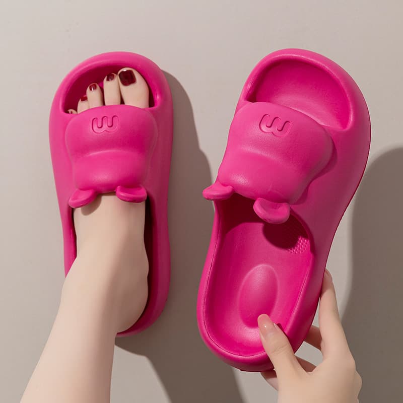 Home Slippers for Women, Summer Sandals, Indoor/Outdoor Flip Flops, Beach Shoes for Women