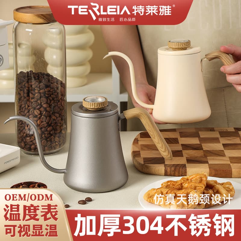 600ML Drip Coffee Pot with Slim Gooseneck Spout, Home Brewing Equipment for Drip Coffee