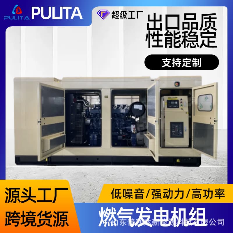 250kw Natural Gas Generator Set Compatible with Weichai Cummins Engine Biogas Power Plant Energy-Saving Generator Set