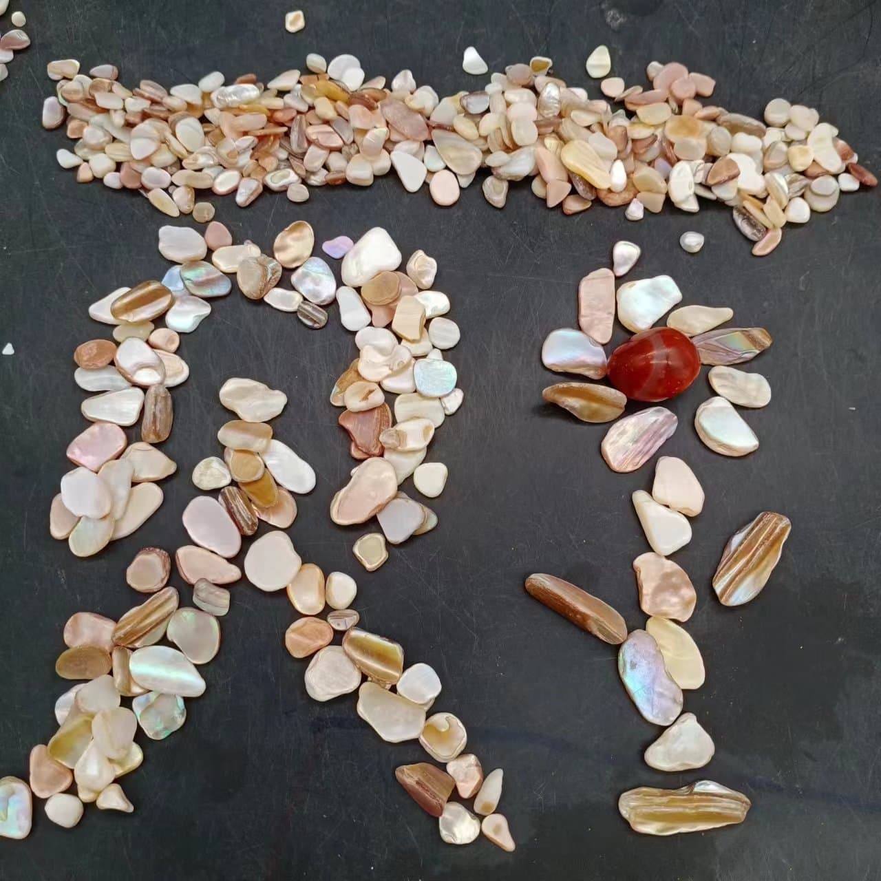 Irregular Shell Fragments Shell Chips Crushed Shells for Decoration Craft DIY Mosaic