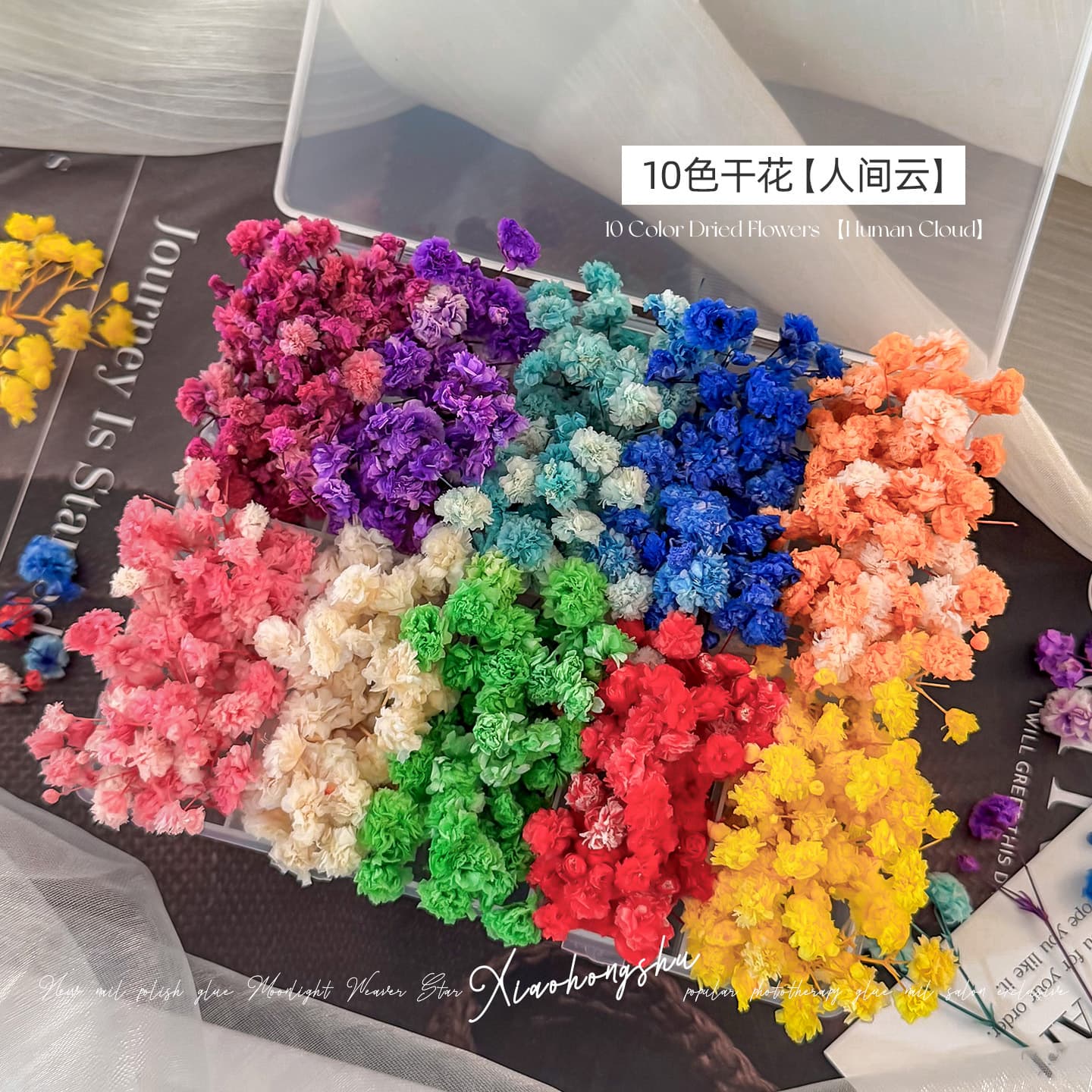 [10 Colors Preserved Flowers] Dried Preserved Flower Nail Art Materials Nail Decorations for Press-On Nails Monet Garden