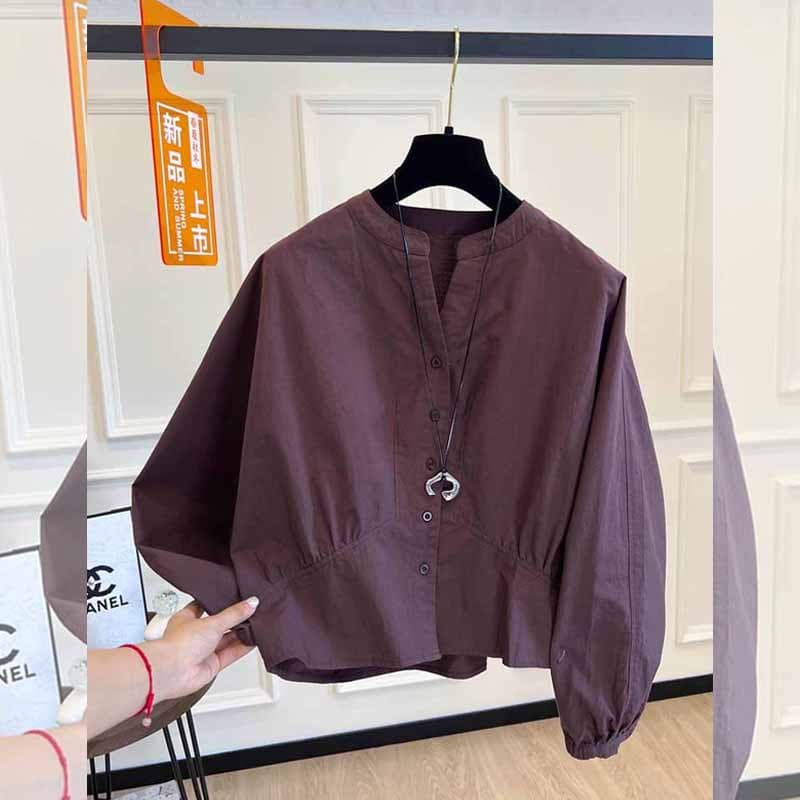 Premium Spring/Fall New Fashion Niche Design Batwing Sleeve Plus Size Shirt Loose Slimming Stylish Top
