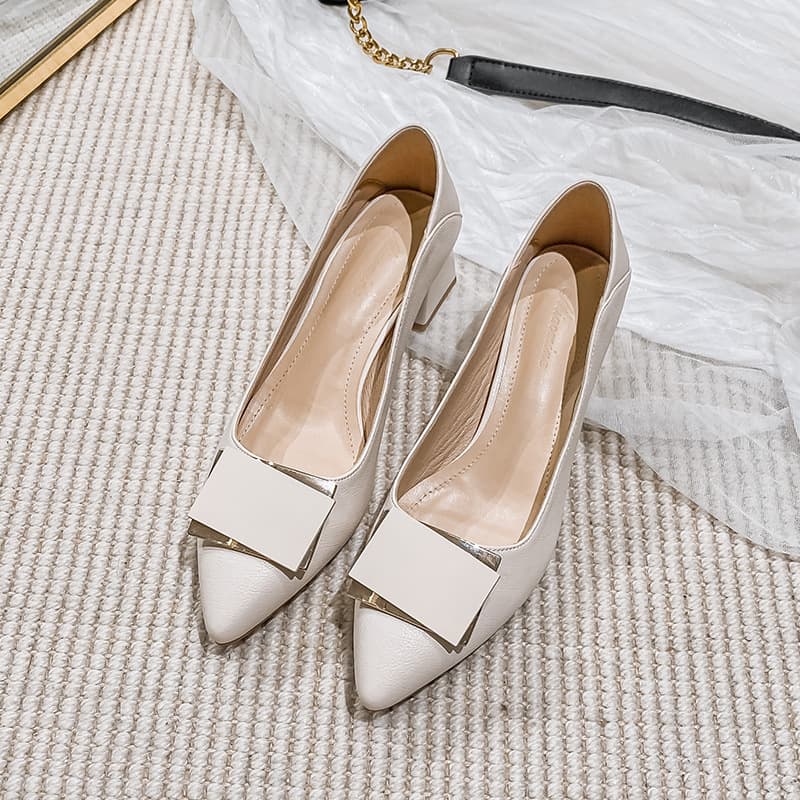 Women's High Heels 2026 New Style Chunky Heel Pointed Toe Elegant Versatile Evening Heels Large Size Single Shoes