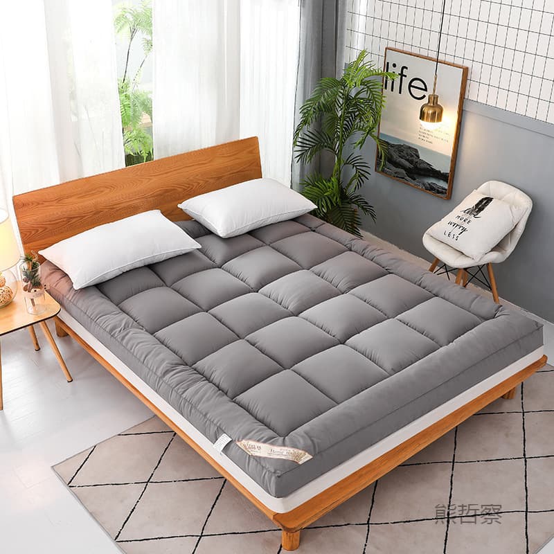 Manufacturer 3D Feather Silk Fluff Mattress, Hotel Thick Mattress Pad, Student Dorm Single/Double Lamb Fleece Pad, Leide Brand