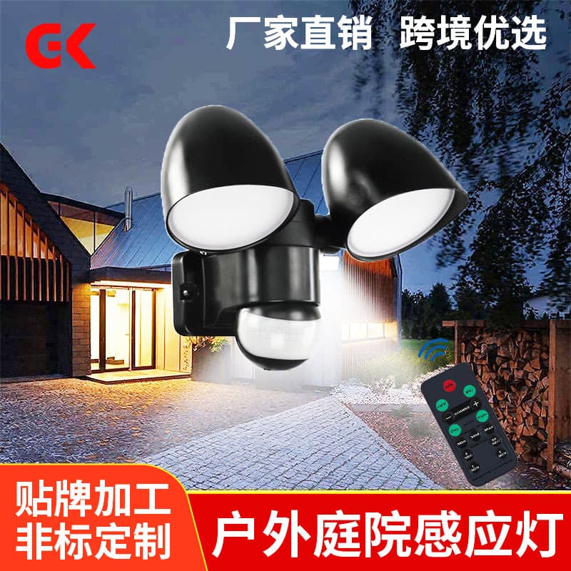 Remote Control Cup-Type Dual Head Motion Sensor Light Outdoor Courtyard Wall Light Garden Villa Swimming Pool Projection Light Manufacturer