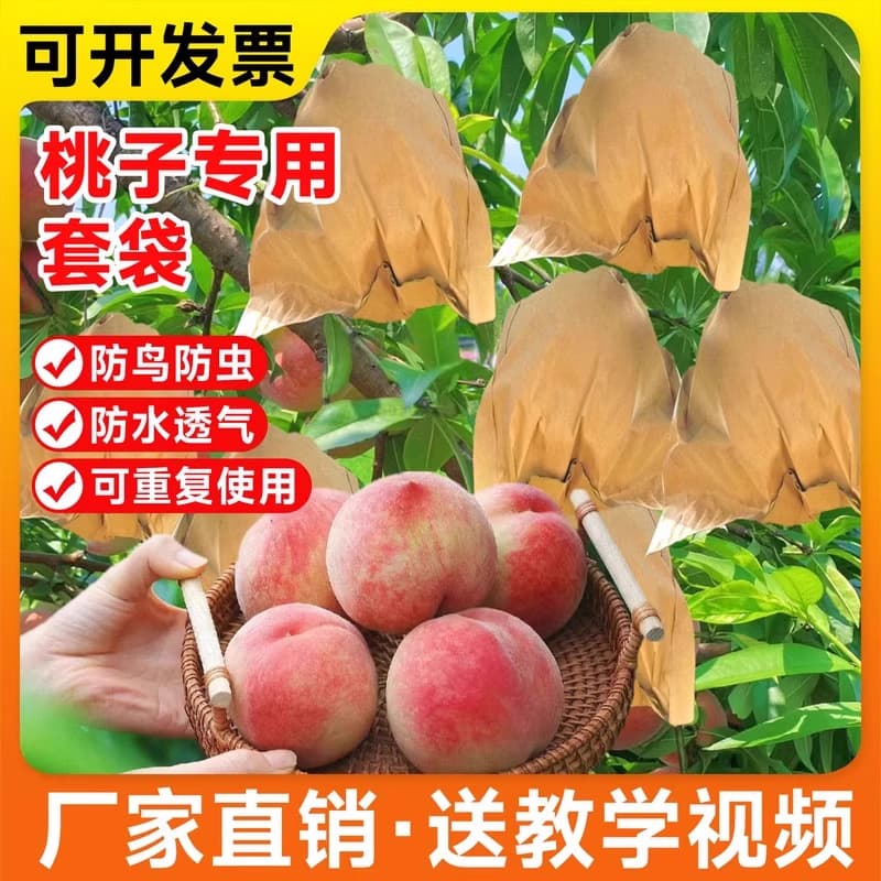 Special fruit bags for peaches, including those for nectarines, winter peaches, flat peaches, and yellow peaches. Insect-proof, breathable, and waterproof.