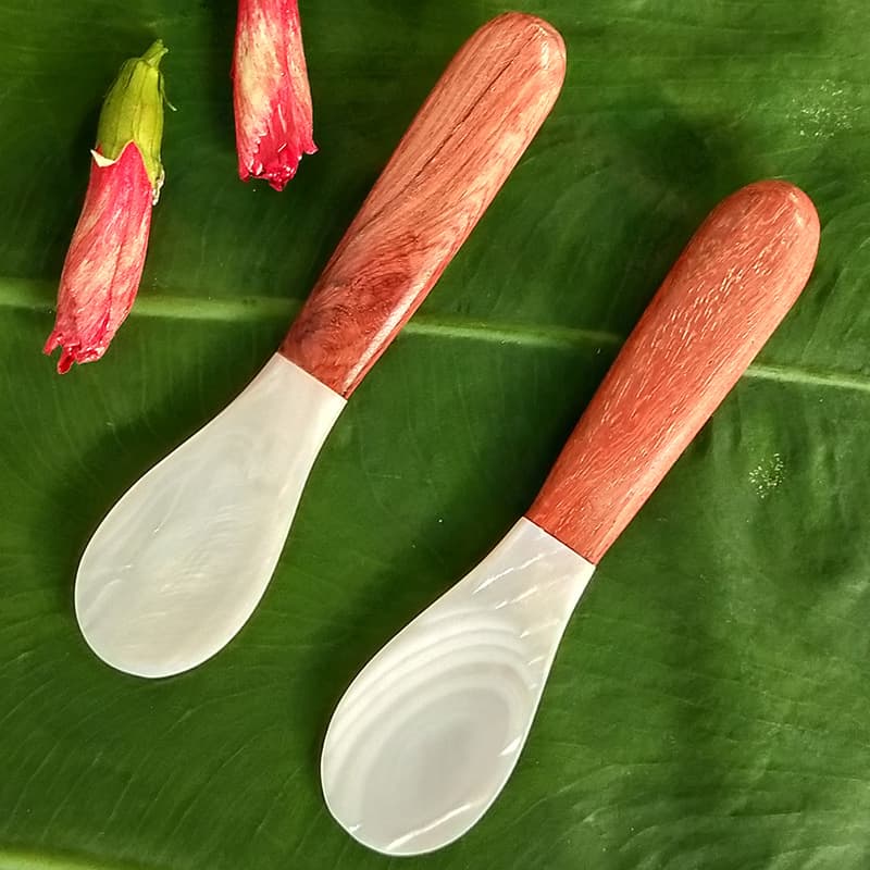 White clam shell spoon, natural pearl mother-of-pearl spoon, caviar spoon with wooden handle.