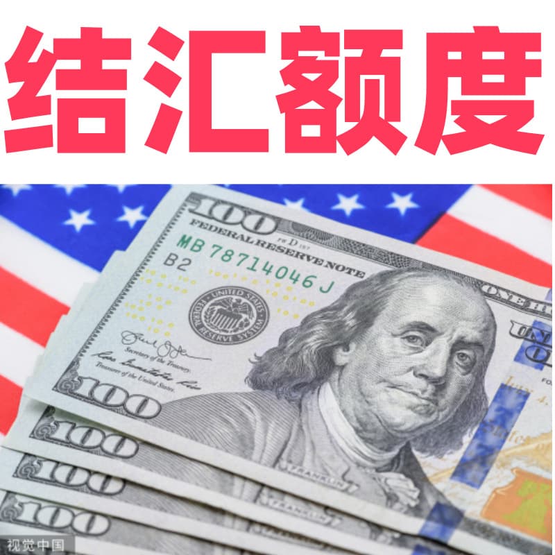 Settlement Quota USD EUR JPY Foreign Exchange for Individual Industrial and Commercial Households Market Procurement Customs Declaration Quota Settlement Authorization