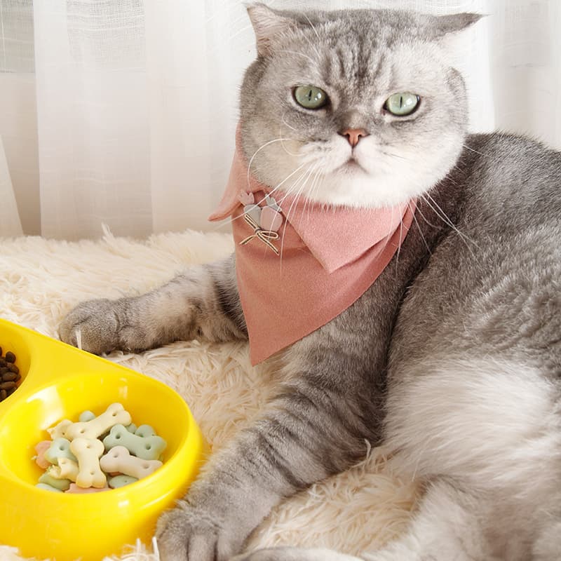 Casual Pet Bow Tie Collar for Cats and Dogs, British Wedding Style, Pet Bib, Triangle Scarf