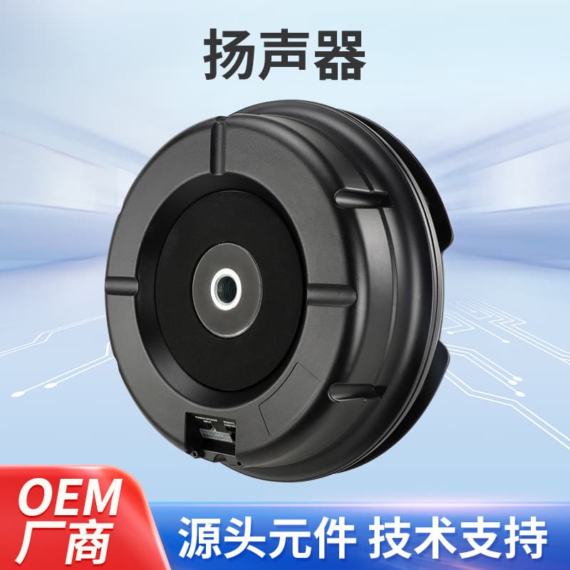 Customized car speakers, professional car speakers, 11-inch spare tire cannon