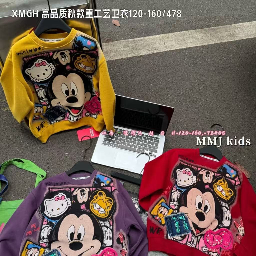 2026 New Style Youth Hoodie with Bound Collar, Heavy Embroidery, Applique Design, and 3D Plush Toy Design