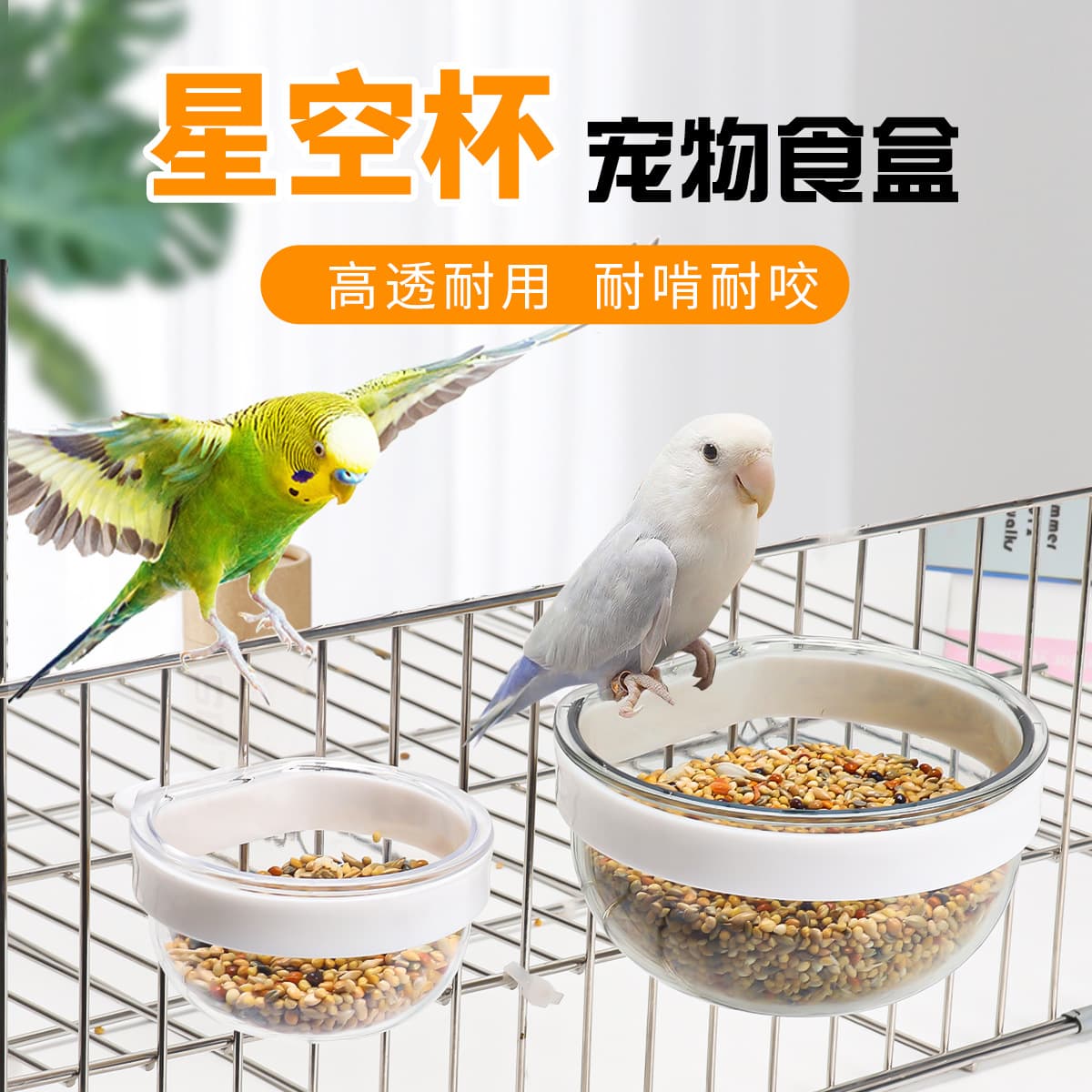 Budgie, Cockatiel, Lovebird Food Bowl, Seed Cup, Grit Feeder, Millet Bowl, Feeding Dish, Pet Supplies