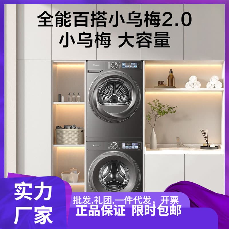 Washer and Dryer Set with Plum 2.0, Front-loading Washer + Dryer, Dual Inverter, Micro-Clean Bubble Water Cube