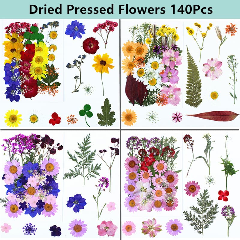 140Pcs Amazon European and American Hot-Selling Combination Pressed Flower Dried Flower Embossed Real Flower Plant Specimen Flower
