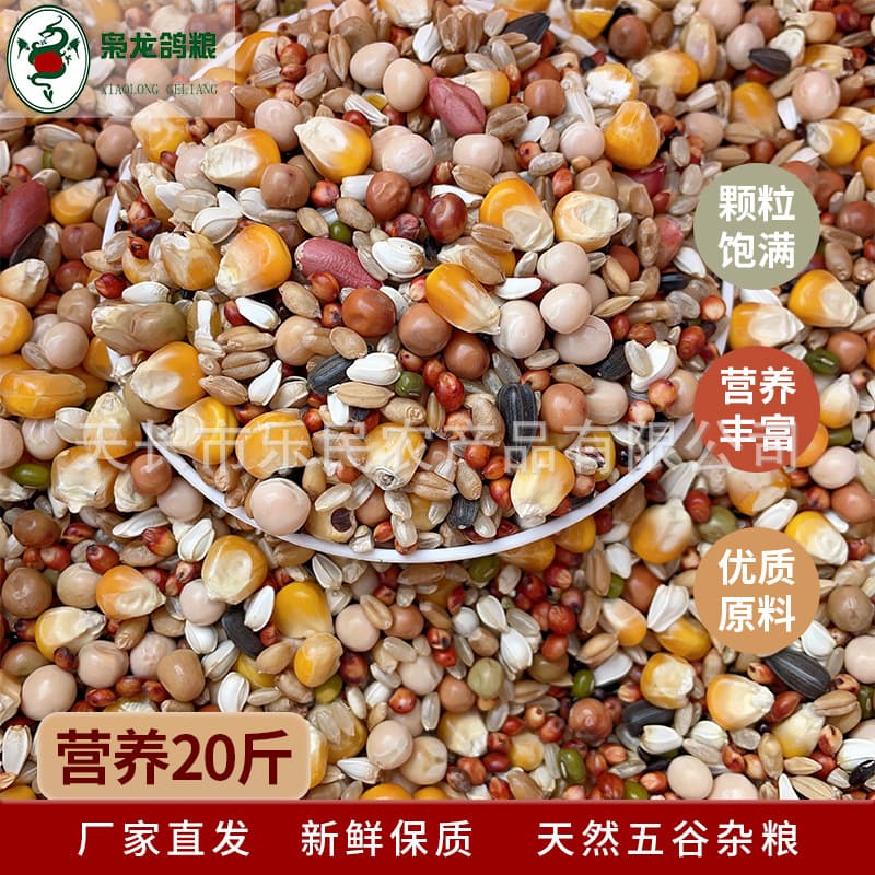 Xiaolong Pigeon Food Nutrition 10kg Newly Upgraded Racing Pigeon Nutrition Bird Food Free Shipping in Jiangsu, Zhejiang, Shanghai and Anhui