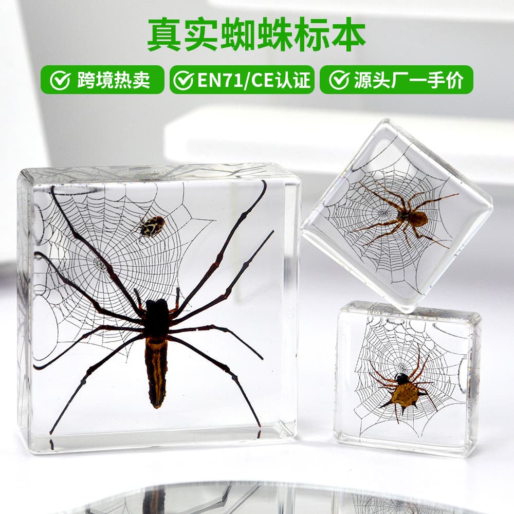 Millennium Insect source factory direct supply for cross-border specialized insect specimens, real spider resin craft ornaments.