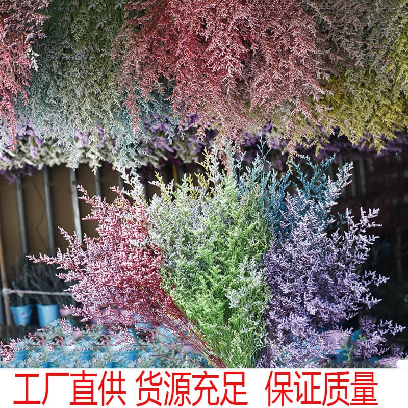 Preserved Baby's Breath Dried Flowers 120g/Bundle Mother's Day Bouquet DIY Dried Flower Materials Scented Candle Floating Flower