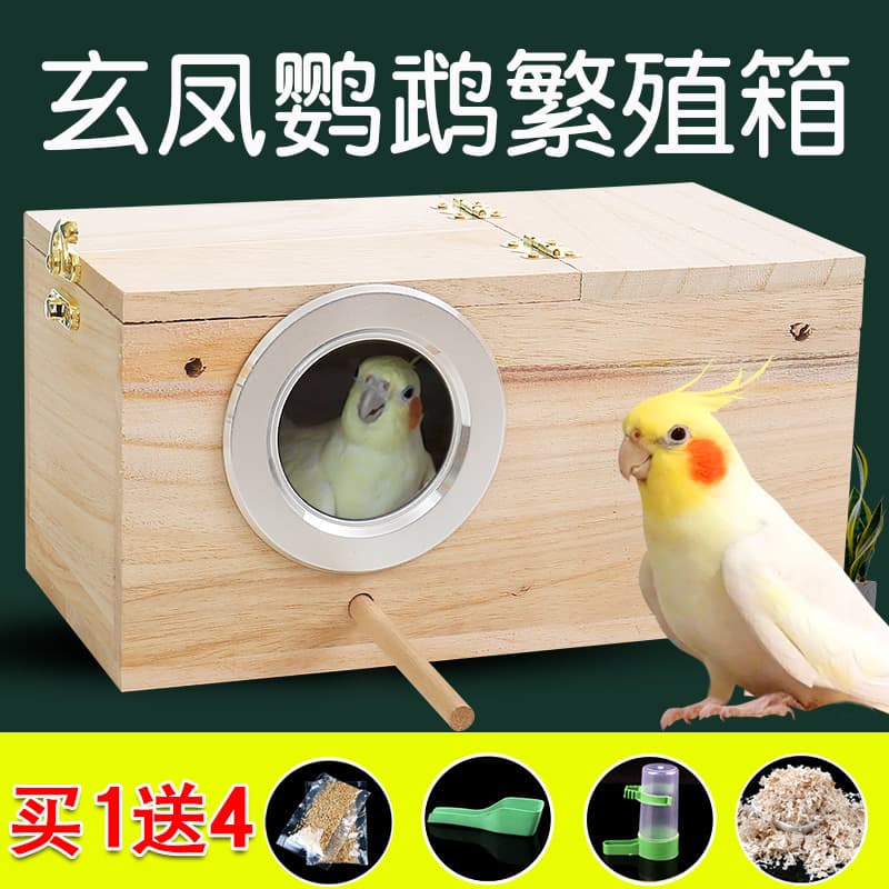 Cockatiel Breeding Box, Small Bird Nest, External, All-Season, Solid Wood Incubation Box, Bird House Supplies