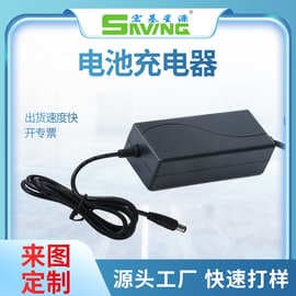 Lithium Battery Charger with Overload and Overvoltage Protection, Dual-Color Indicator Light, Lead-Acid Battery Charger
