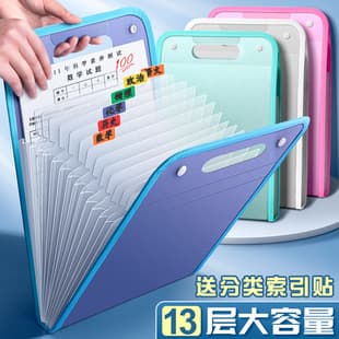 A4 Portable Vertical File Folder for Test Papers, Accordion Organizer with 13 Slots, Large Capacity Exam Paper Storage Bag