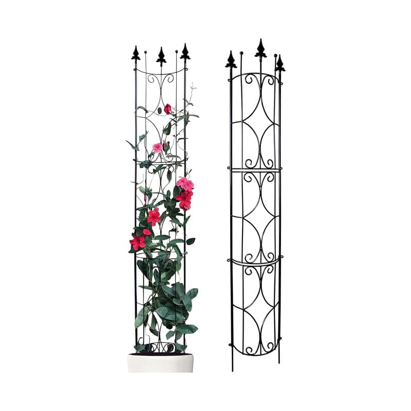 Gardening outdoor fence rose clematis plant semicircle climbing support bracket drainage pipe blocking climbing vine flower stand