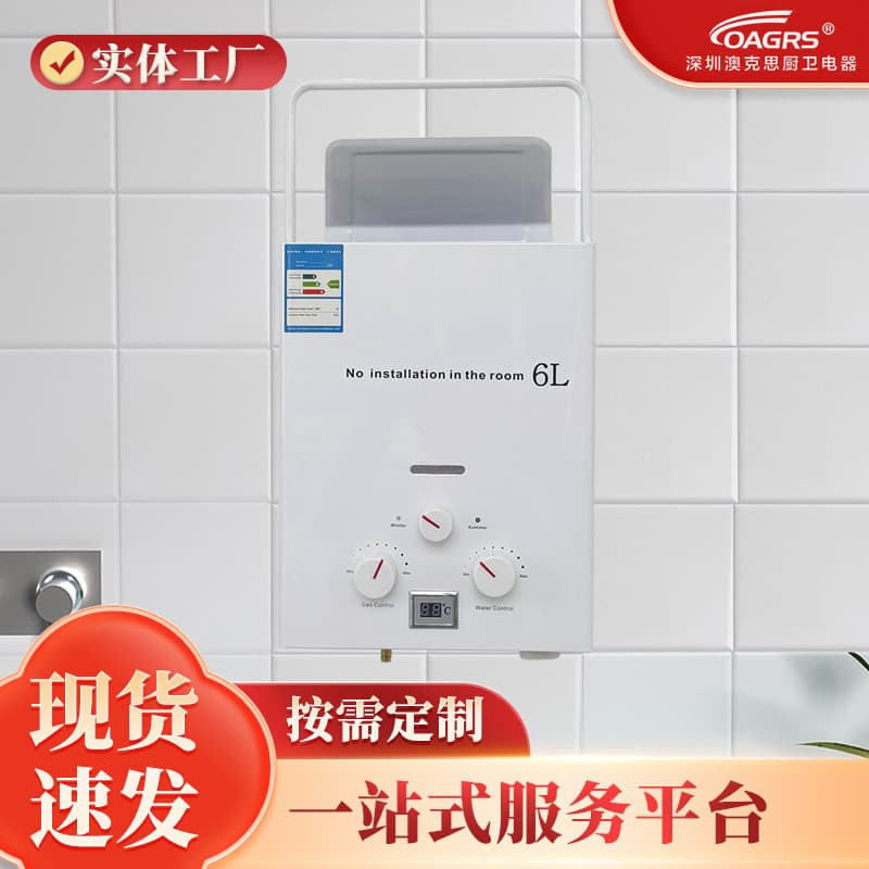 Manufacturer Wholesale Export Flue-Type Gas Water Heater, Household RV Small Water Heater
