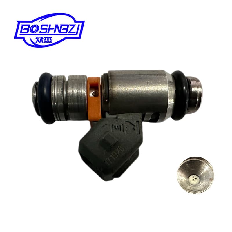 Cross-border supply applies to the Fiat Vesper GTS250 3-hole injector IWP182
