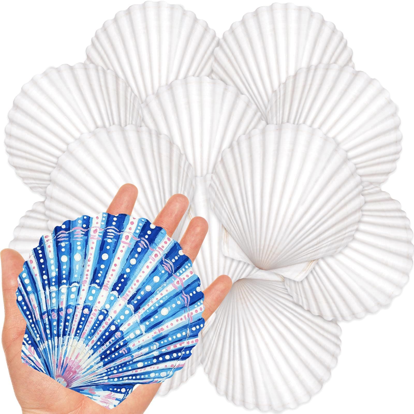 20 Pieces Large Scallop Shells for Crafts Natural White Scallop Shells for Baking Painting DIY Handicrafts
