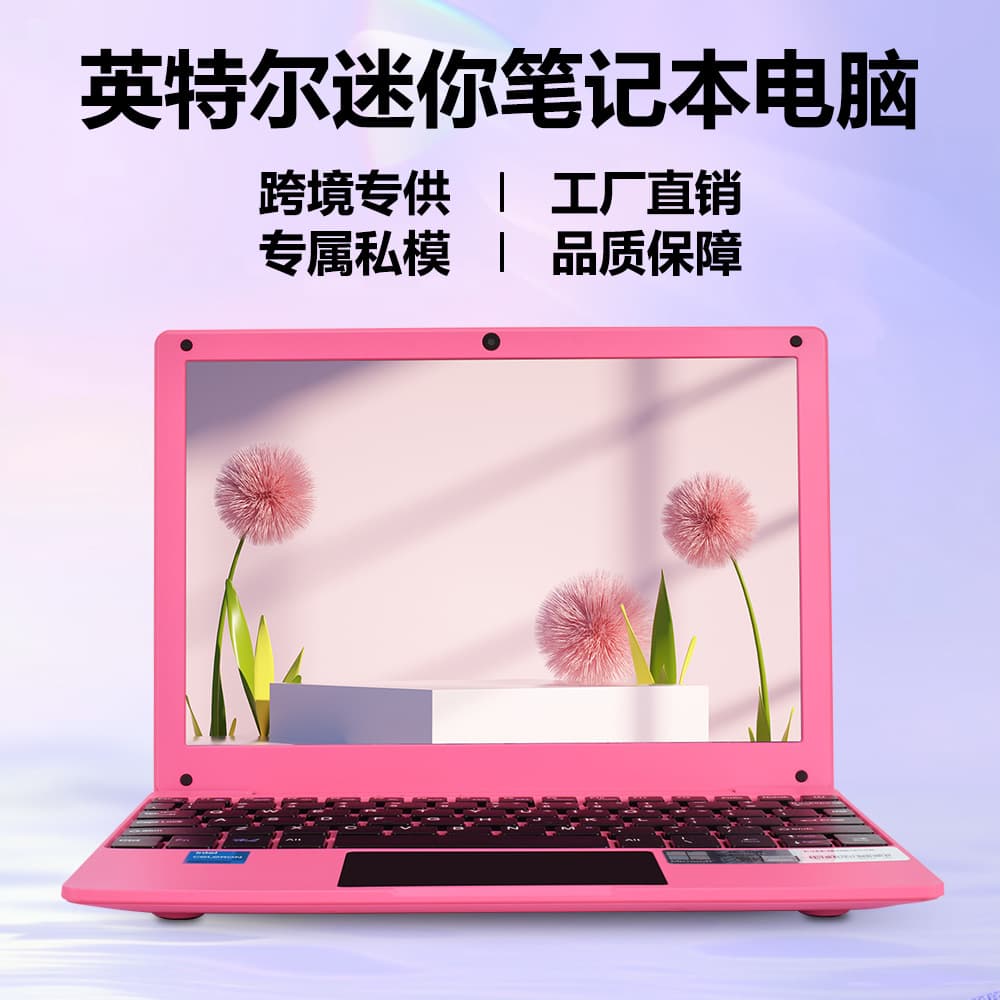 Mini 10.1 Inch Laptop N4020 8GB Memory 128GB Hard Drive Portable Student Computer Non-Touch Screen No Optical Drive