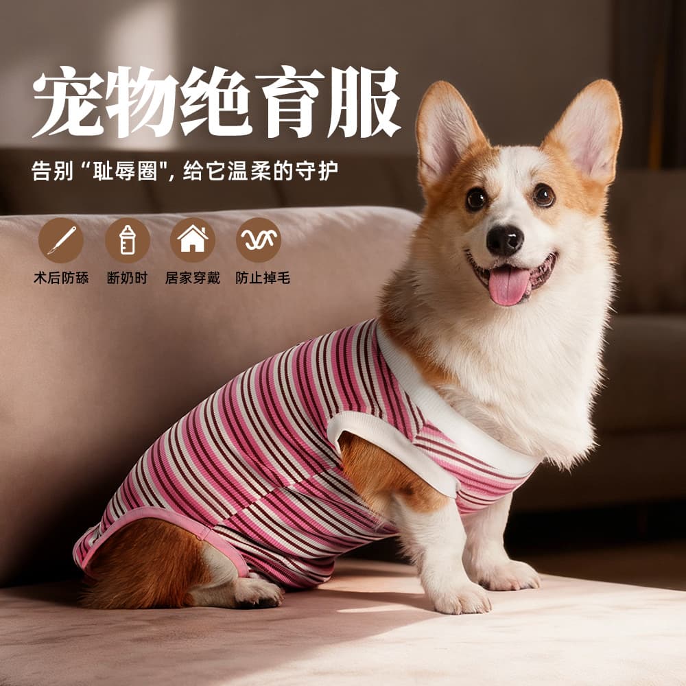 Cross-border supply small and medium dog spay suit, comfortable and breathable, post-surgery anti-lick, weaning pet diaper pants wholesale