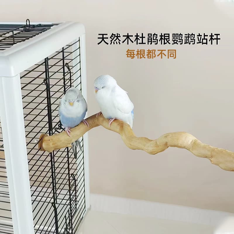 Rhododendron Wood Perch for Birds, Parrot, Cockatiel, Budgie, Chewing and Beak Grinding Natural Wood Stick, Bird Cage Cartoon Washer Decoration