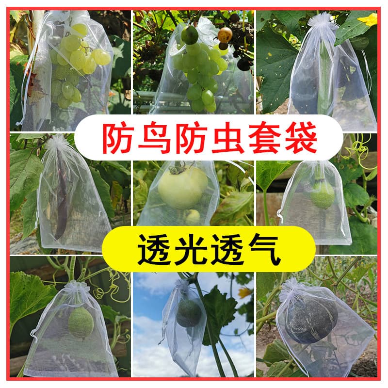 Specialized Breathable Net Bags for Fruit Protection Against Birds and Insects - Suitable for Grapes, Figs, Loquats, Strawberries, and Carambolas