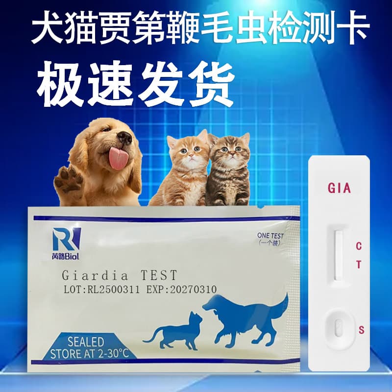 Cross-border Hot-selling Pet Test Strips on Amazon and AliExpress for Giardia Detection in Dogs and Cats