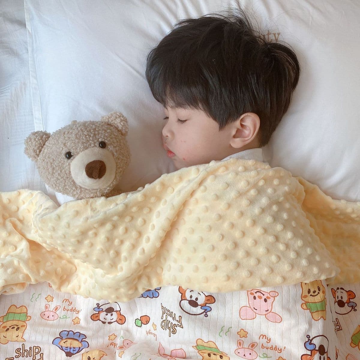 Autumn/Winter Plush Quilt Thin Version Children's Small Quilt Pure Cotton All-Season Double Layer Class A Cover Blanket Fleece Blanket Soothing Thickened Blanket