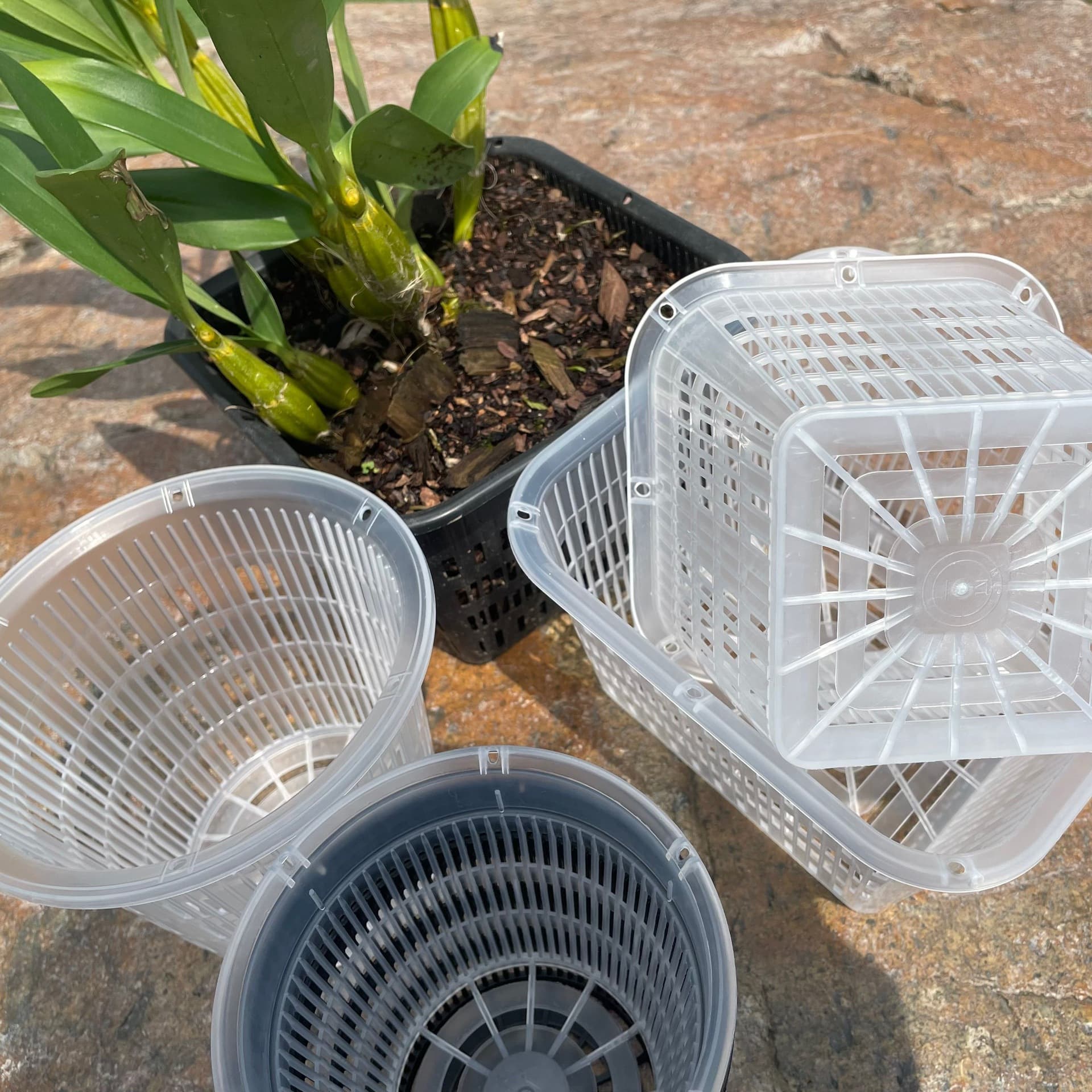 Breathable square root-control pot planting basket Dendrobium Cattleya hydroponic sphagnum moss Phalaenopsis plastic flower pot