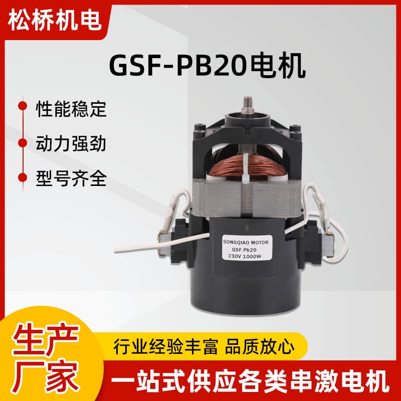 Industrial Motor Custom Single-Phase Series GSF-Pb20 Micro 1000W Household Vacuum Cleaner Motor