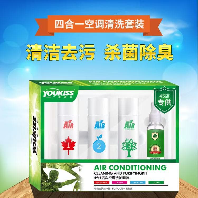 4-in-1 Car AC Evaporator Cleaner & Deodorizer Kit with Visual Pipe