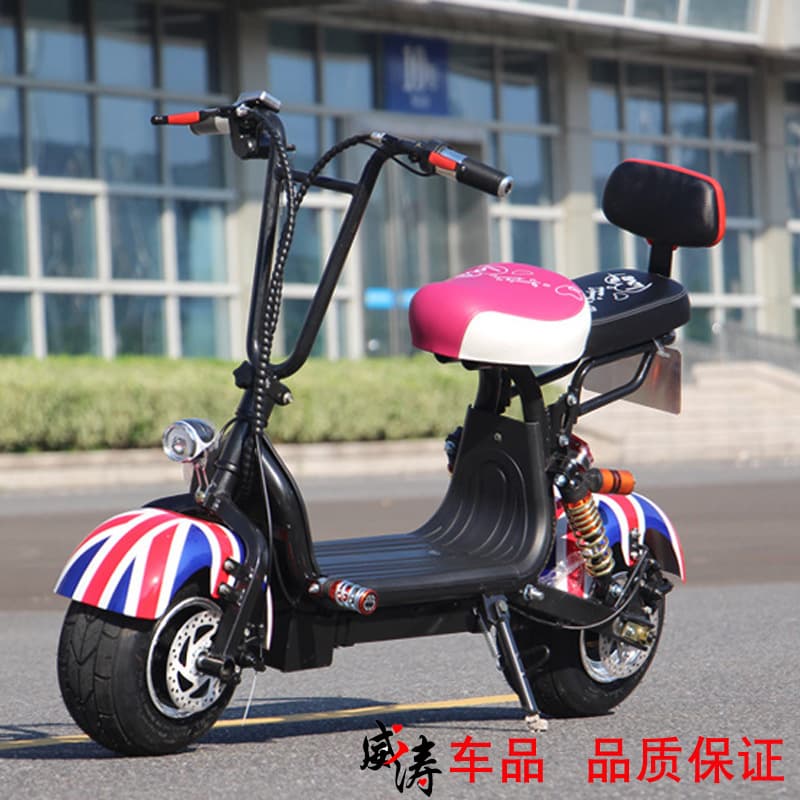MinYu Harley Style Electric Scooter 48V Lithium Battery Mini Folding Adult Electric Scooter